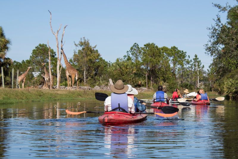 Where the Wild Paddling Happens on the Space Coast Where the Wild Paddling Happens on the Space Coast
