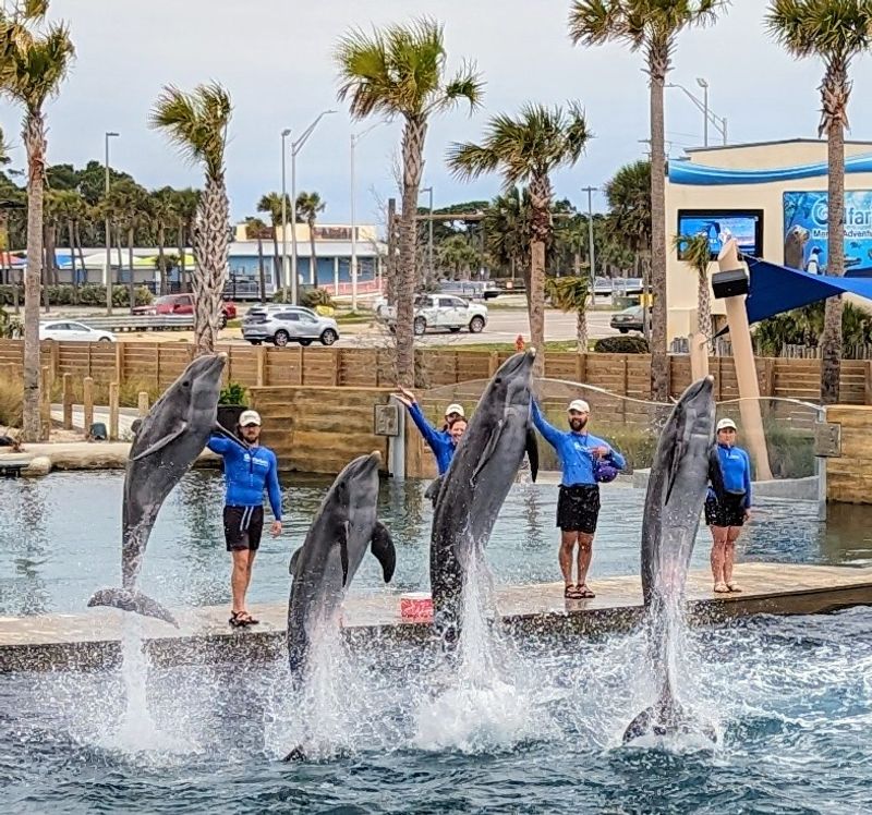 Where to Find This Emerald Coast Landmark Where to Find This Emerald Coast Landmark