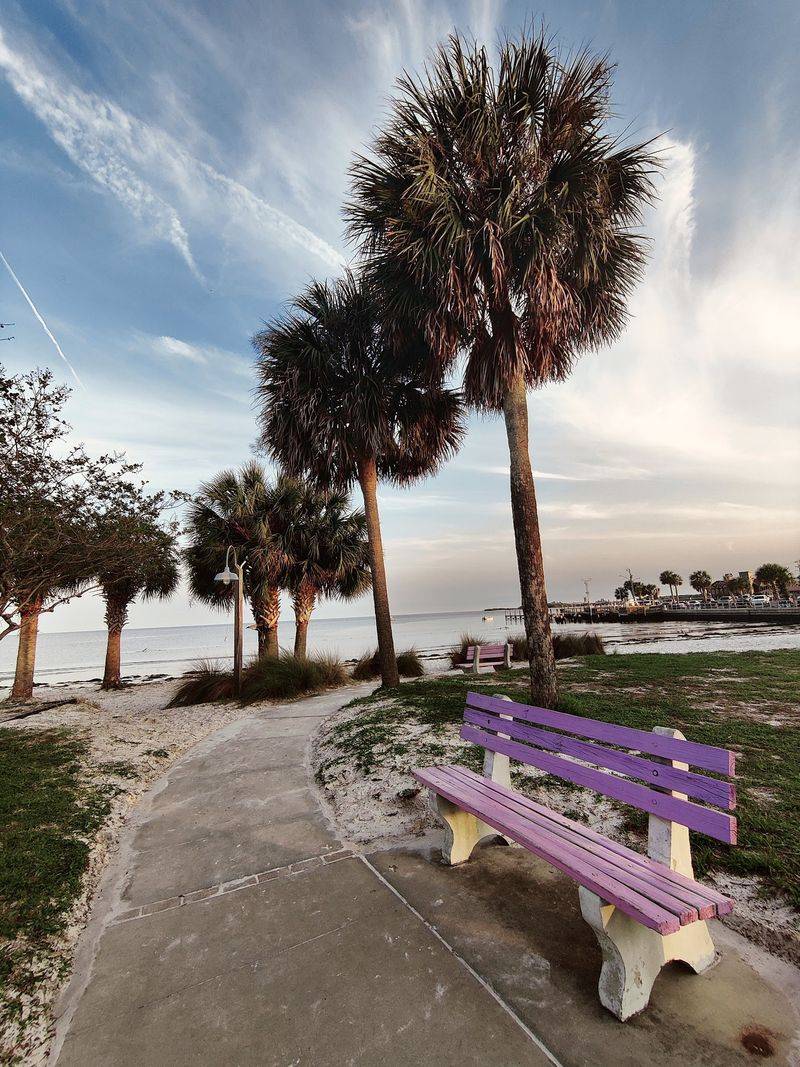 Why Cedar Key Earns a Spot on Your Map
