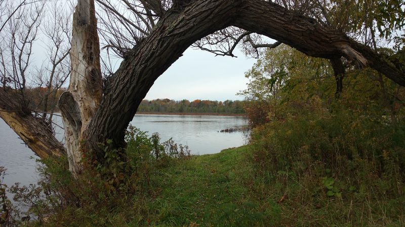 Why Most Of The Shore Stays Off-Limits