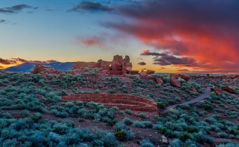Why This Backyard Wonder Earns The Drive Why This Backyard Wonder Earns The Drive