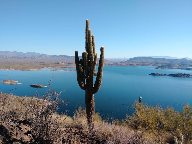 Why This Desert Oasis Keeps Pulling People Back