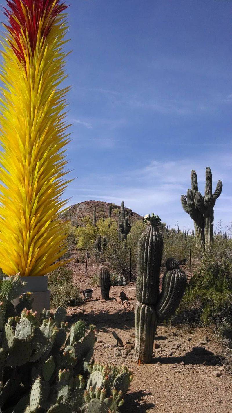 Why This Garden Keeps Locals Coming Back