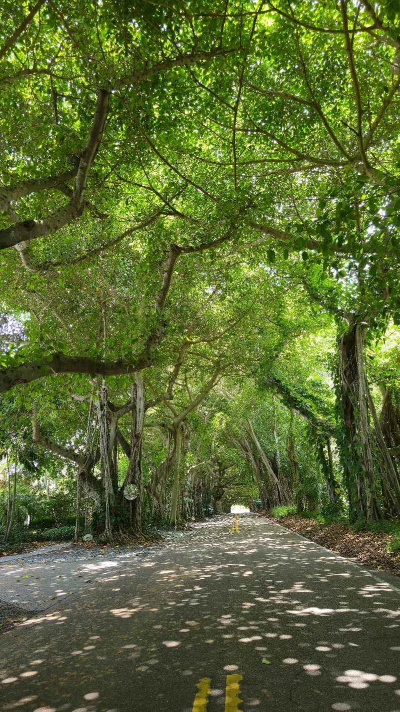Why This Little Drive Wins Hearts Why This Little Drive Wins Hearts