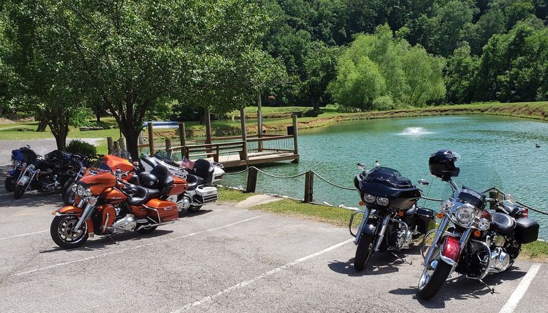 Why This Little Fish Camp Wins Hearts Why This Little Fish Camp Wins Hearts