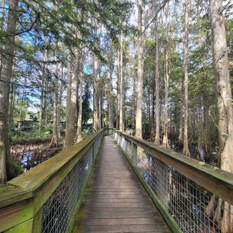 Why This Wild Detour Is Worth It