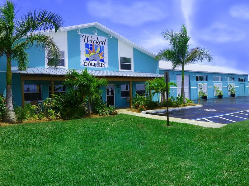Wicked Dolphin, Cape Coral area Wicked Dolphin, Cape Coral area