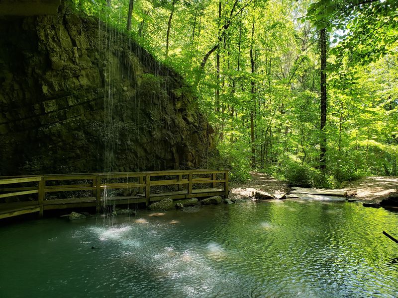 Wildlife And Woodland Calm Shape The Experience Wildlife And Woodland Calm Shape The Experience