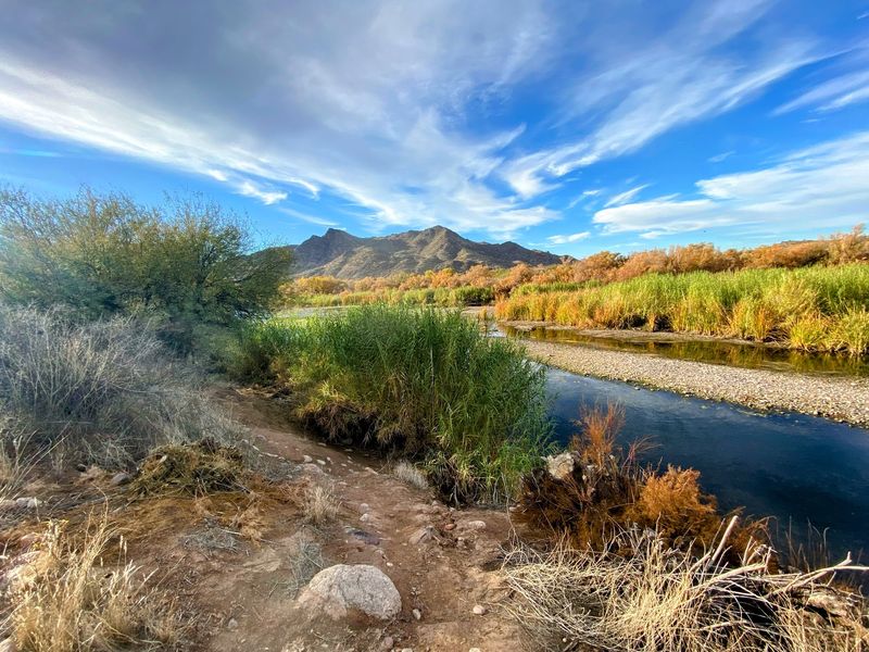 Wildlife Beyond The Mustangs