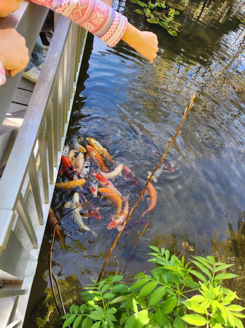 Wildlife Encounters Along the Way