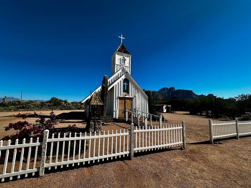 Wildlife, Wildflowers, and Desert That Comes Alive