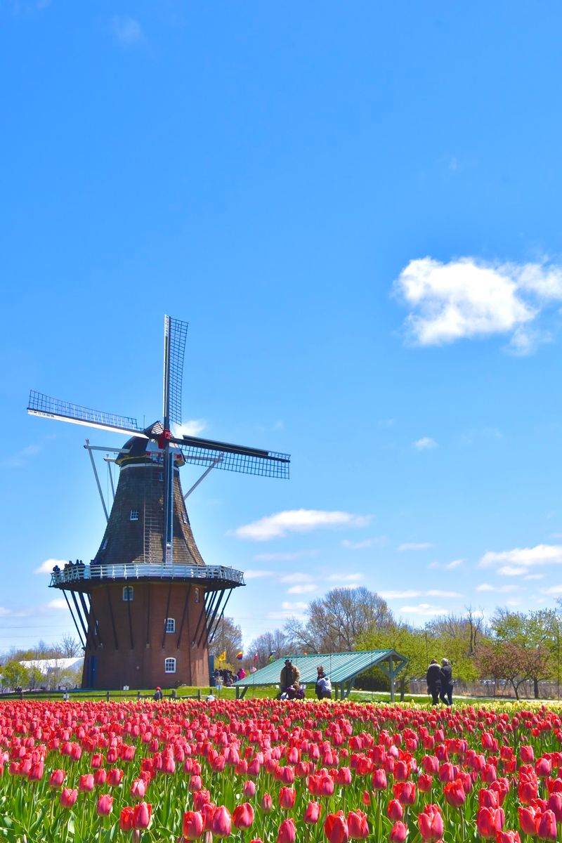 Windmill Island Gardens, Holland, Michigan Windmill Island Gardens, Holland, Michigan