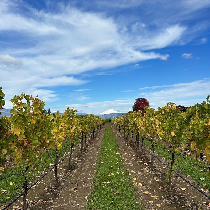 Wine Views At The Top