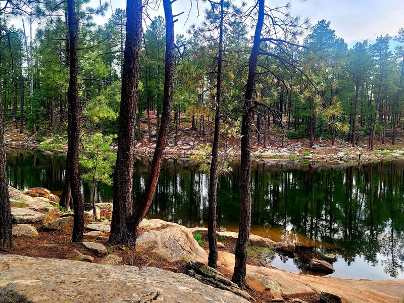 Woods Canyon Lake, Mogollon Rim Woods Canyon Lake, Mogollon Rim