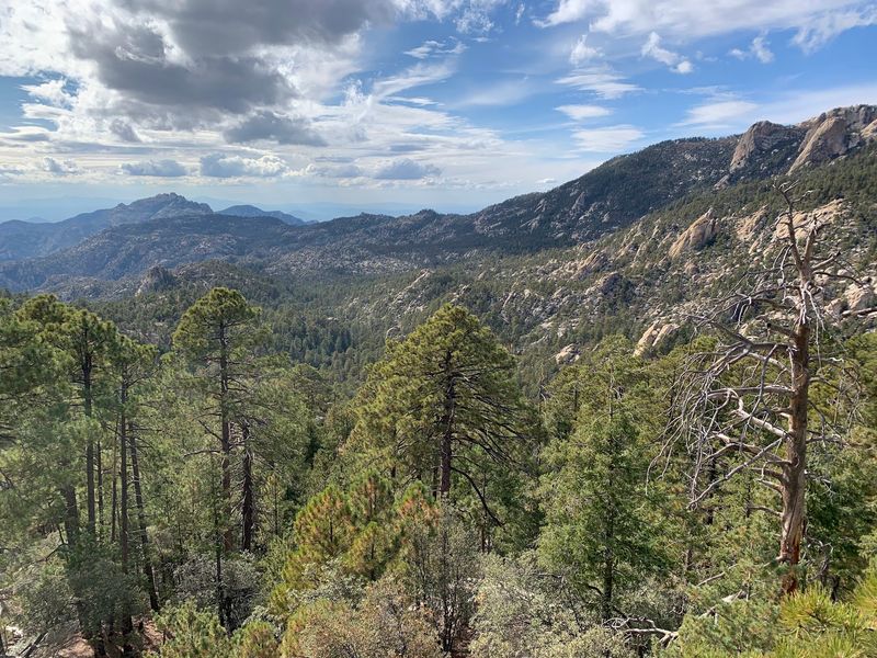A 9,159-Foot Peak Above Summerhaven A 9,159-Foot Peak Above Summerhaven