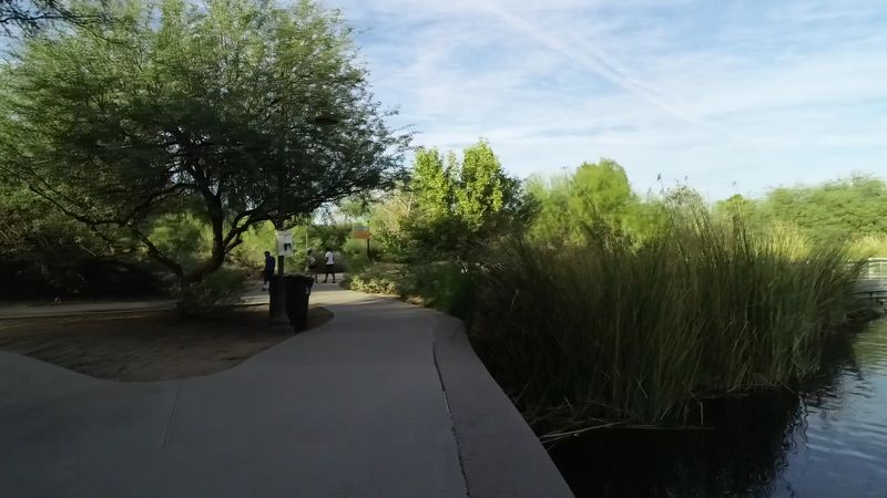 A Backyard That Grew Into a Sanctuary A Backyard That Grew Into a Sanctuary