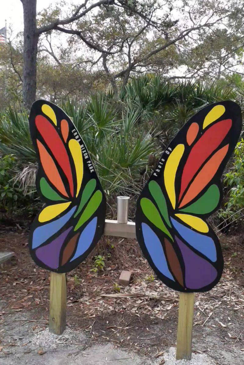 A Butterfly Garden Full of Native Blooms A Butterfly Garden Full of Native Blooms