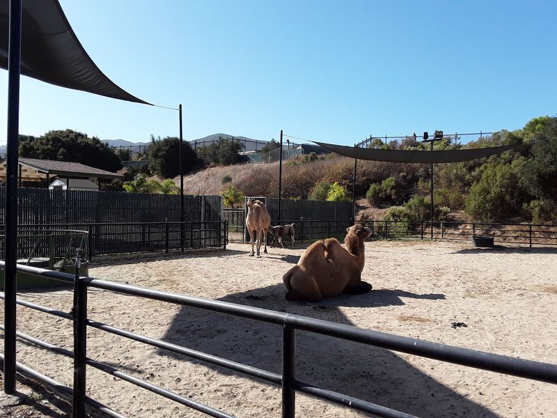 A Compact Zoo Worth the Walk A Compact Zoo Worth the Walk