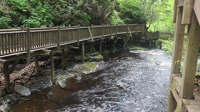 A Dog-Friendly Nature Escape