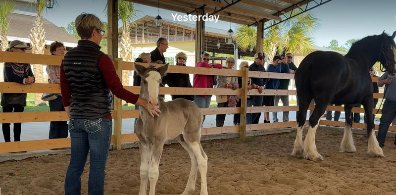 A Family Farm Tucked Into Dunnellon