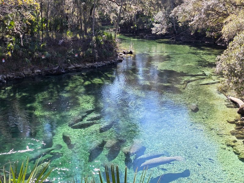 A Family-Friendly Day Trip From Orlando
