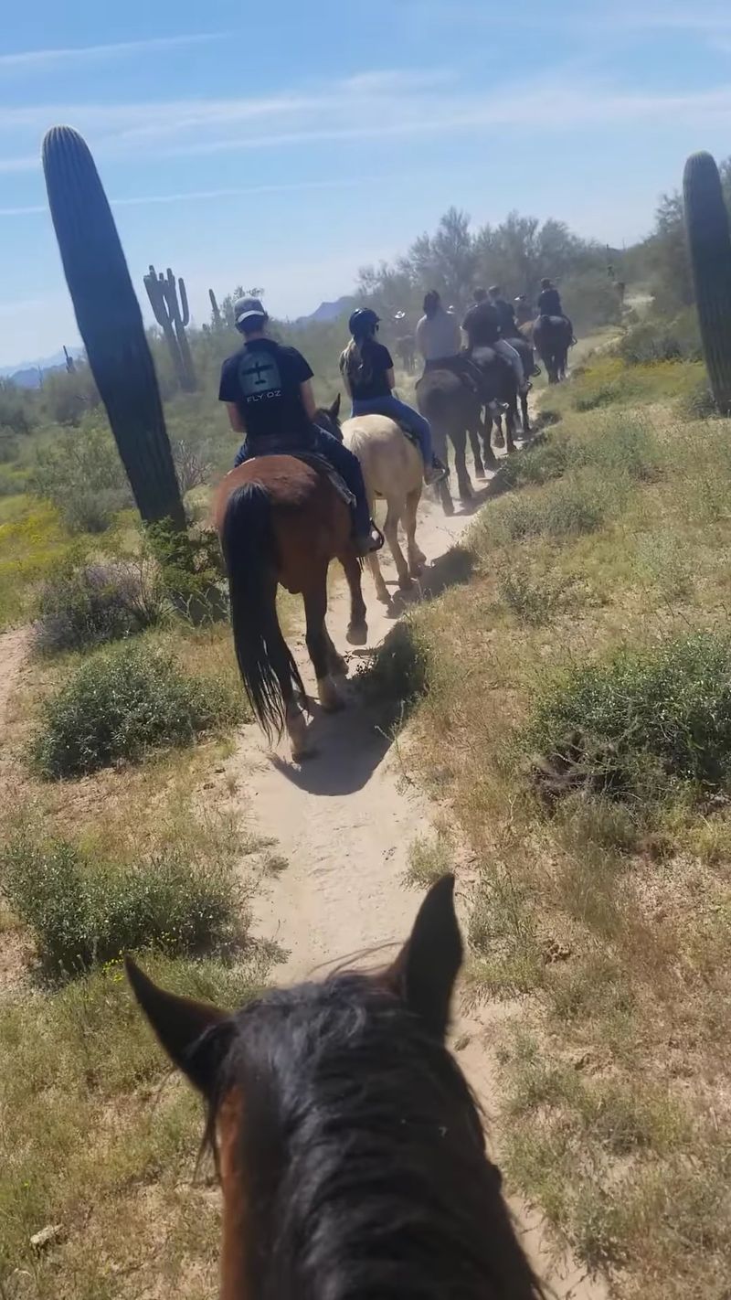 A Family Story Woven Into The Trails A Family Story Woven Into The Trails