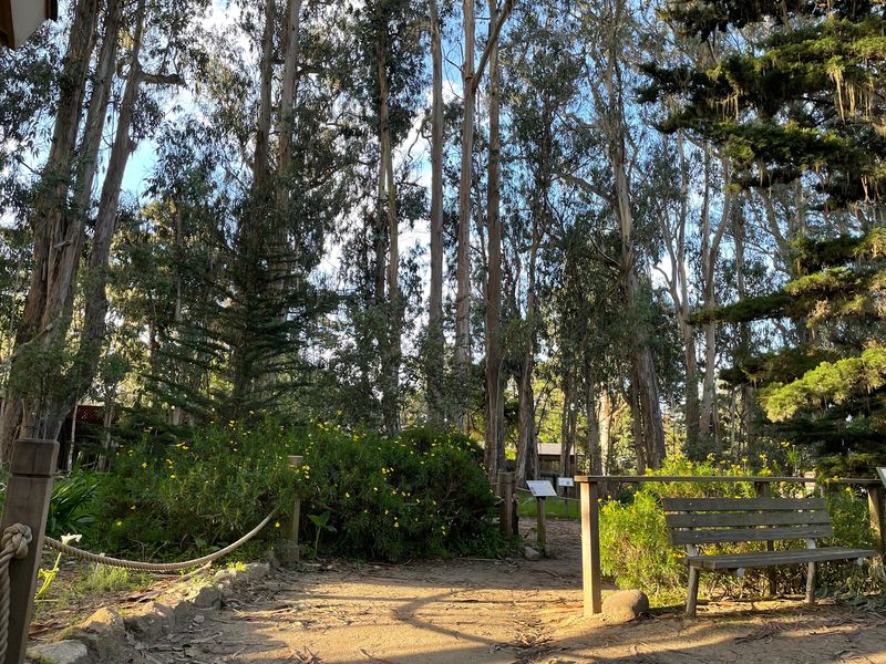 A Five-Minute Trail Worth Slowing Down