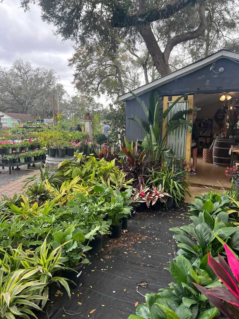 A Garden Center Tucked Along Corrine Drive