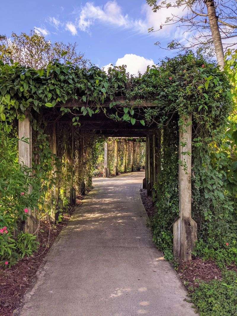 A Garden Hiding Beside the Airport
