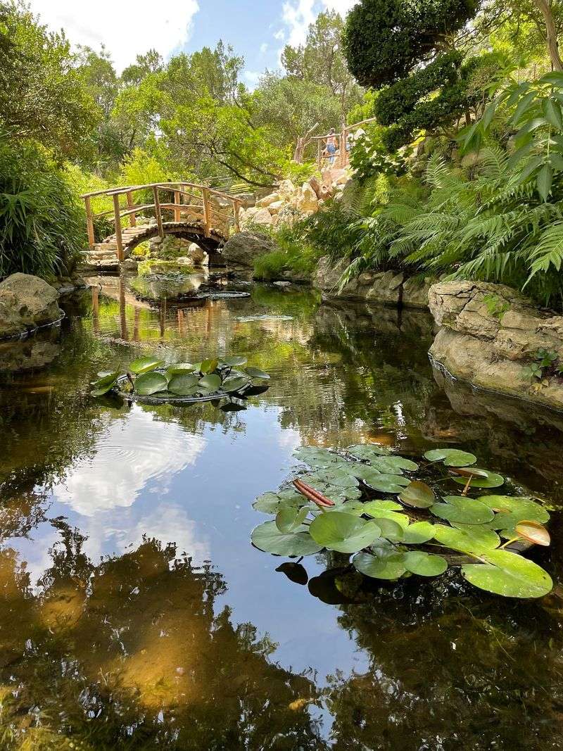 A Garden Hiding in Plain Sight