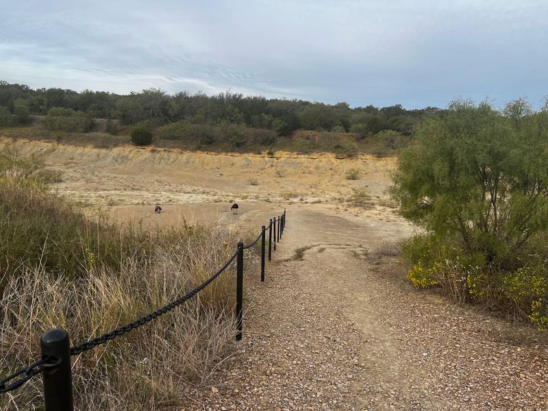A Gentle Path Down to the Fossils