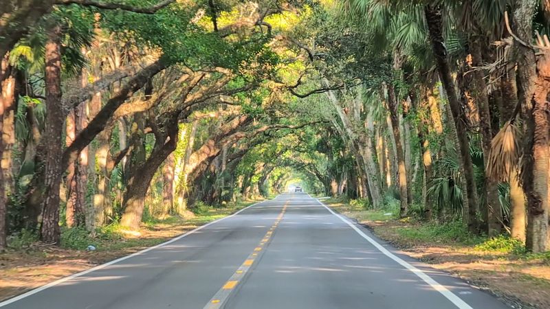 A Glimpse of Old Florida A Glimpse of Old Florida