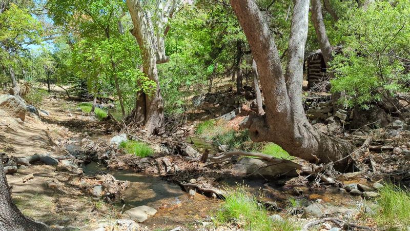 A Hidden Canyon in Cochise County