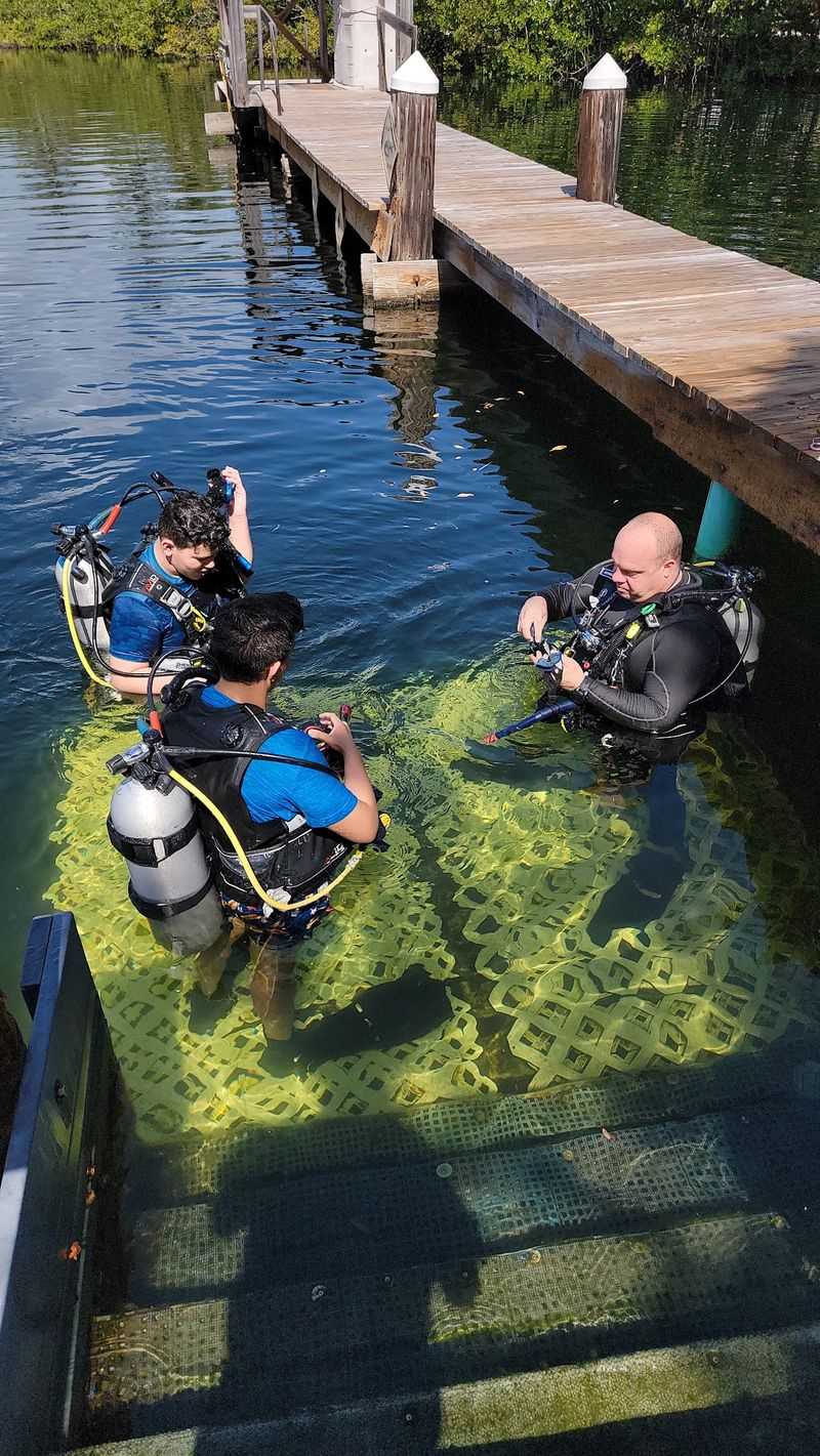 A Lagoon Built for New Divers and Rough Days A Lagoon Built for New Divers and Rough Days