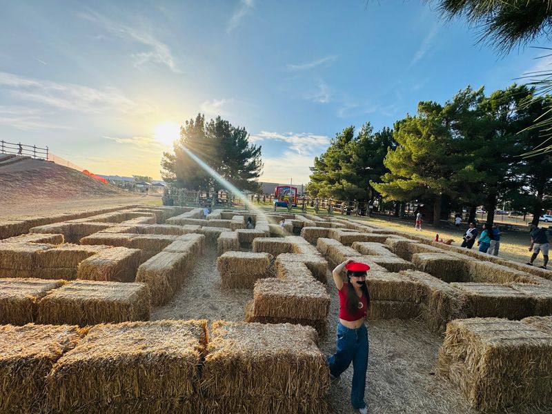 A Maze Made for Little Explorers A Maze Made for Little Explorers