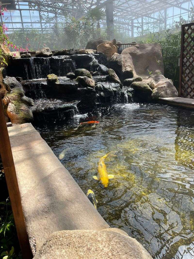 A Mini Zoo Beyond The Butterflies A Mini Zoo Beyond The Butterflies