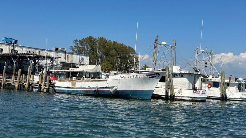 A P Bell Fish Co Inc, Cortez, FL A P Bell Fish Co Inc, Cortez, FL