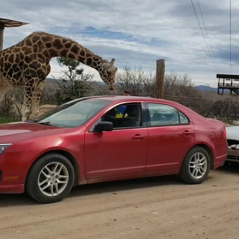 A Privately Run Refuge, Not A Corporate Zoo