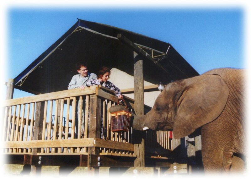 A Ranch Address With Roaring Neighbors A Ranch Address With Roaring Neighbors