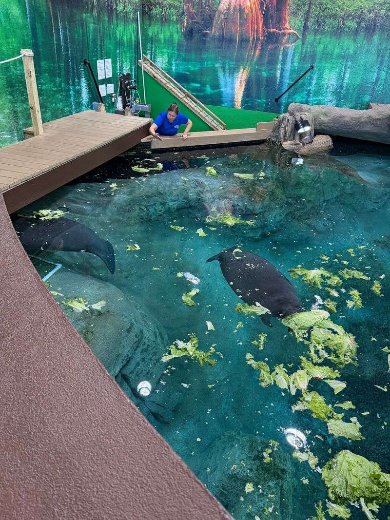 A Rescue Center With a Purpose A Rescue Center With a Purpose