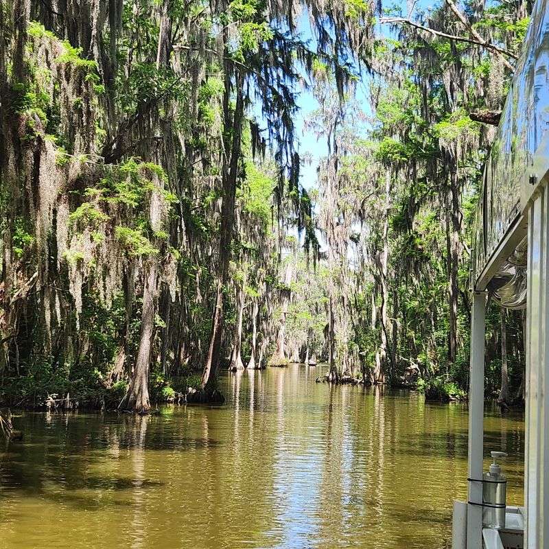 A Ribbon of Water Through Old Florida