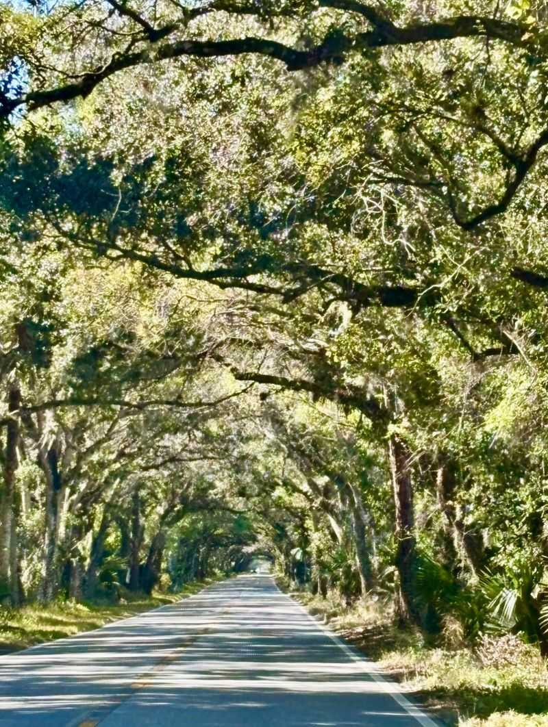 A Rider's Favorite Ribbon of Road A Rider's Favorite Ribbon of Road