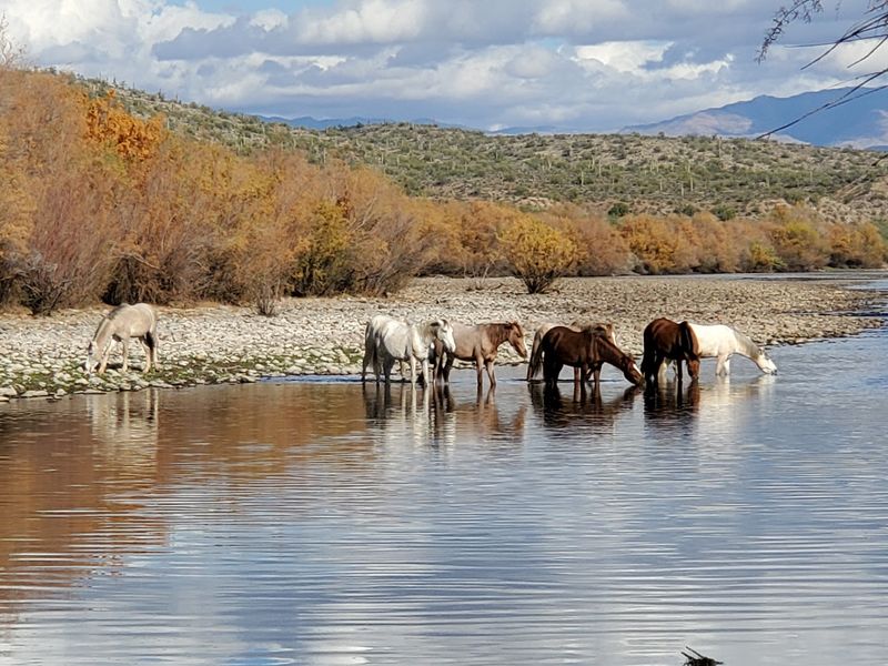 A Riverbank at the End of the Road