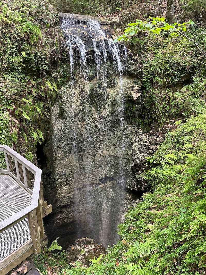 A Seventy-Three-Foot Drop Into the Earth A Seventy-Three-Foot Drop Into the Earth