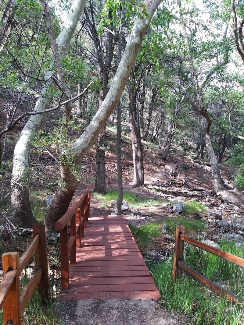A Shaded Creekside Trail for Every Fitness Level