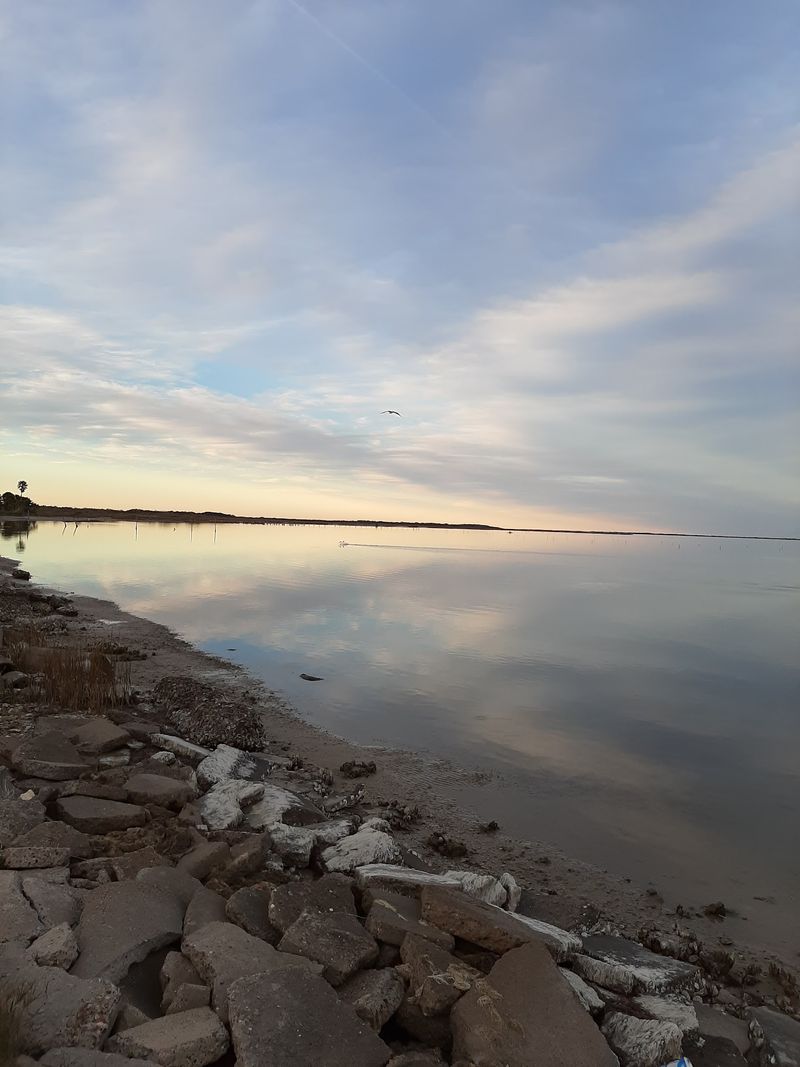 A Shoreline Just Steps Away A Shoreline Just Steps Away