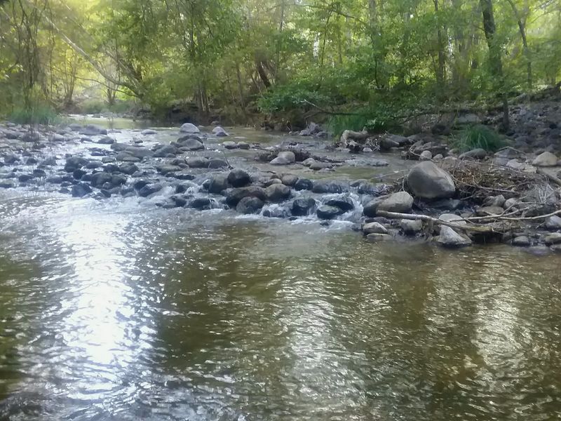 A Slower Pace That Rewards Patience