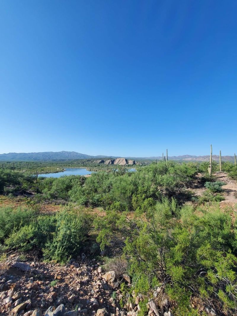 A Soft Verdict From The Desert Edge