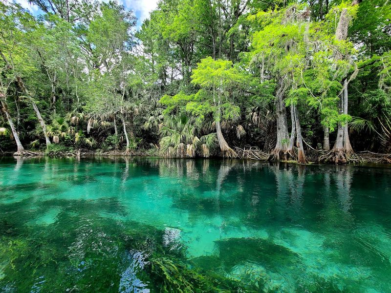 A Spring-Fed Park Where the River Runs Clear A Spring-Fed Park Where the River Runs Clear