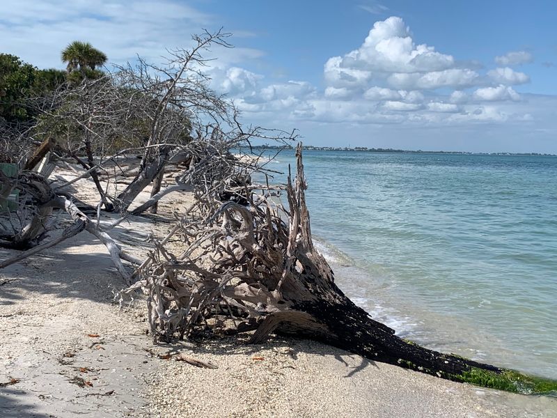 A Walk to Murdock Point and the Pioneer Cemetery